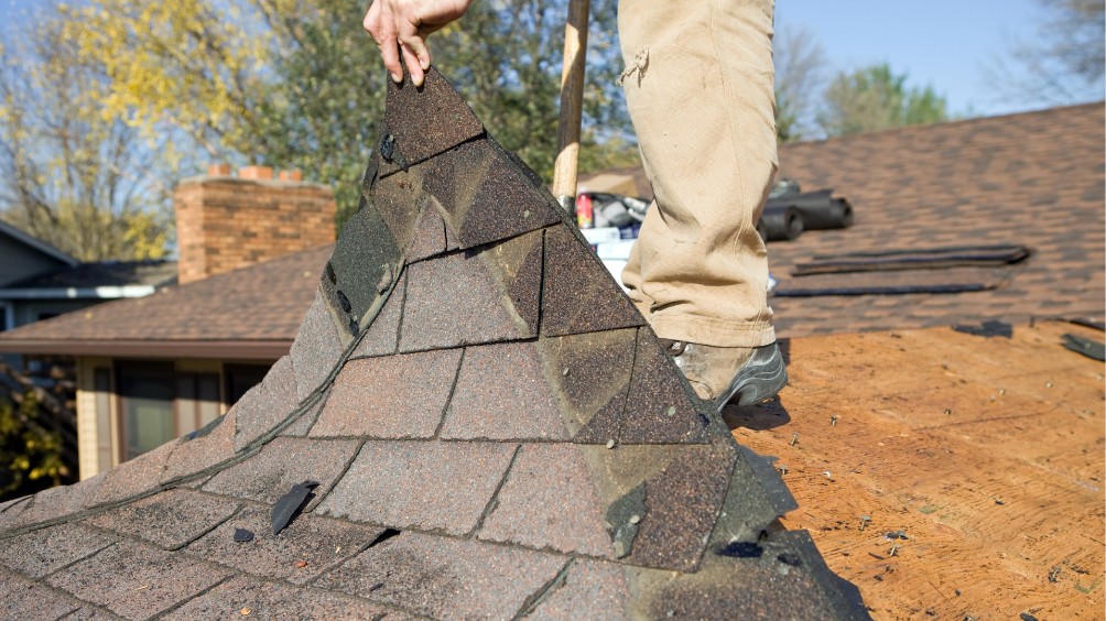shingle roofing companyRancho Paloas Verdes